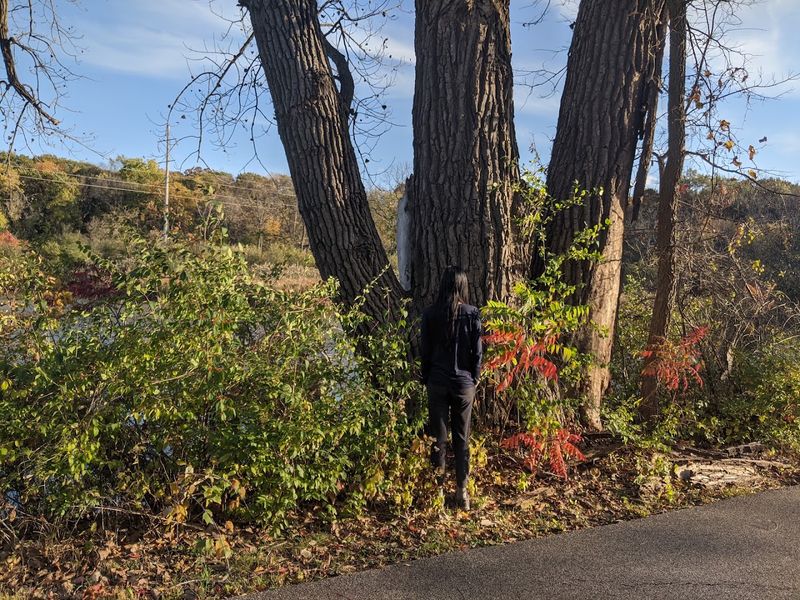 11 Illinois Rail-Trail Towns Made For A Relaxed 2026 Escape