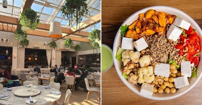 11 Illinois Spots Serving The Freshest Spring Salads You’ll Actually Crave In May