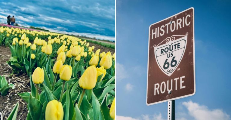 11 Illinois Spring Festivals Worth Traveling For