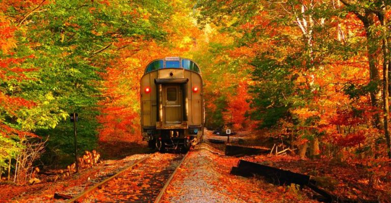 11 Kentucky Train Journeys That Show Off The State’s Best Fall Colors