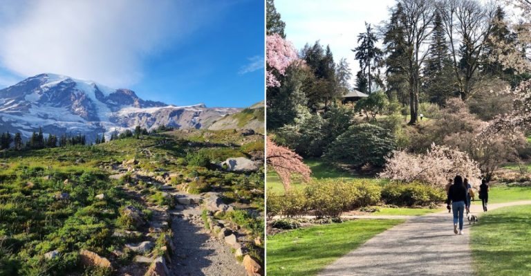 11 Laid-Back Father’s Day Adventures In Washington Worth Planning Now
