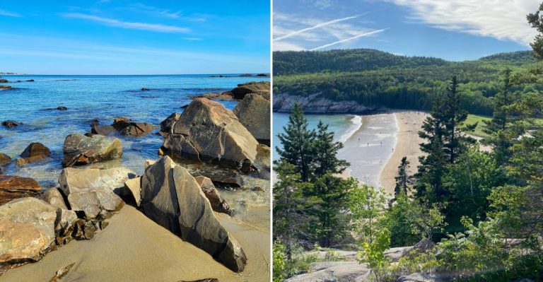 11 Maine Beaches And Coves To Watch For Jellyfish This Summer