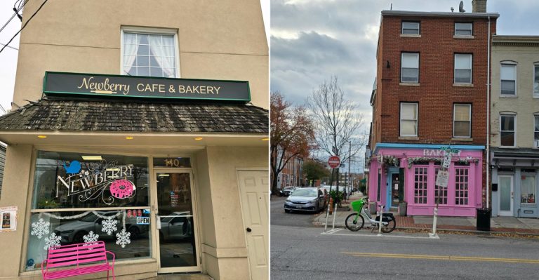 11 Maryland Donut Places Where The First Batch Has A Fanbase