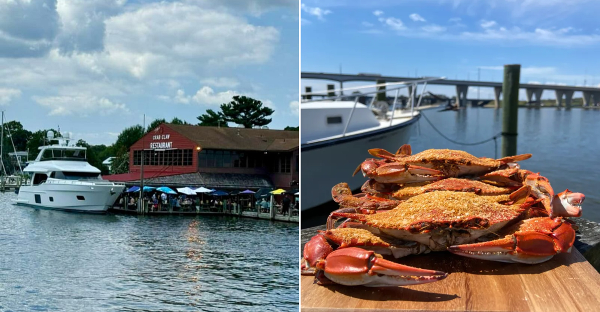 Maryland Seafood Shacks Worth Every Mile for Chesapeake Bay Flavor