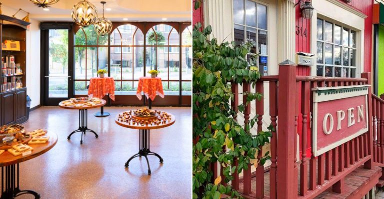 Best chocolate shops in Michigan