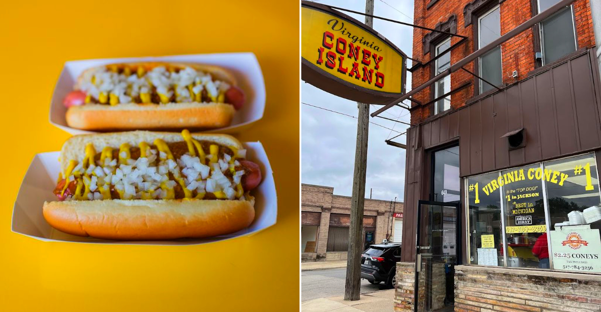 Best Michigan Hot Dog Stands