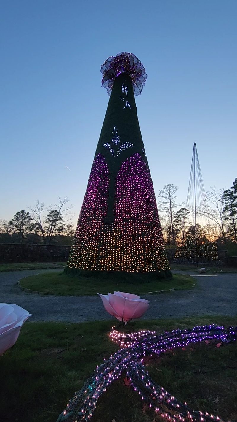 Garvan Woodland Gardens Holiday Lights — 550 Arkridge Rd, Hot Springs