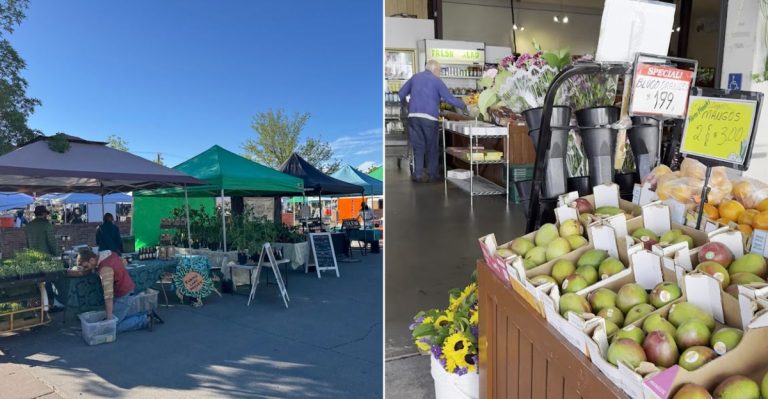 11 Must-Visit Farmers Markets Across Colorado This Summer