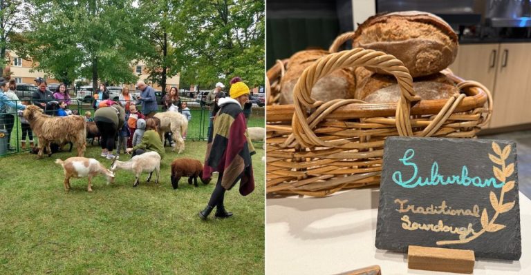 11 Must-Visit Farmers Markets Across Illinois This April