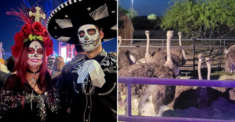11 Of Arizona’s Weirdest And Wildest Festivals You Just Have To Experience