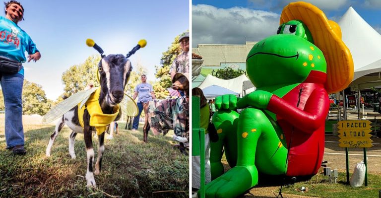 11 Of Arkansas’s Weirdest And Wildest Festivals You Just Have To Experience
