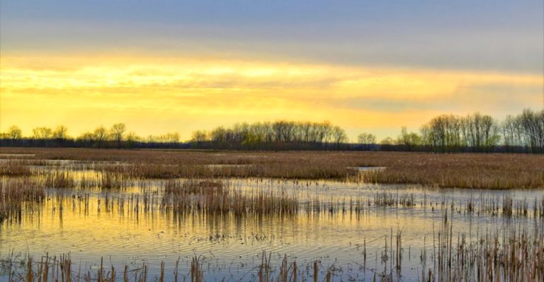 11 Ohio Wildlife Areas Worth Visiting For An Amazing Spring Day Trip