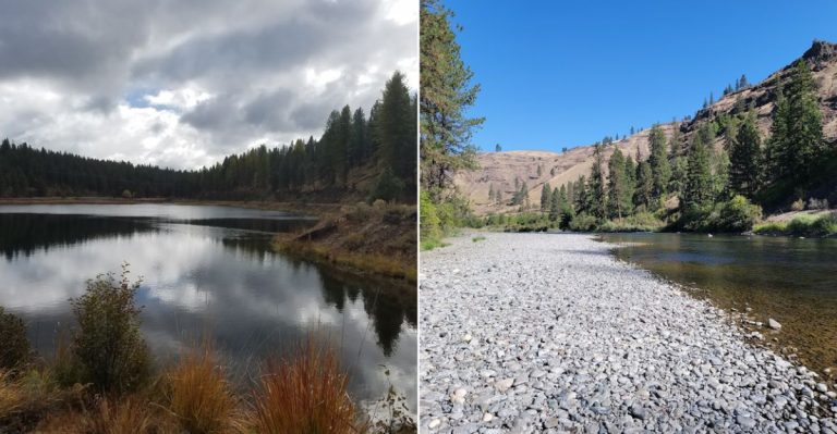 11 Oregon Campgrounds Where You Can Still Show Up Last-Minute And Get A Spot