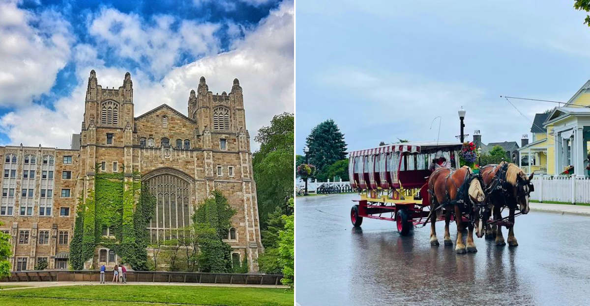 The beauty of Michigan