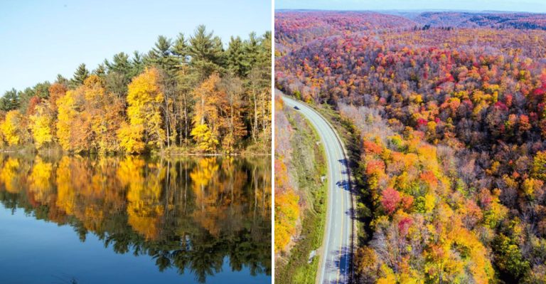 11 Scenic Fall Road Trips In Pennsylvania Where The Food Is Half The Fun