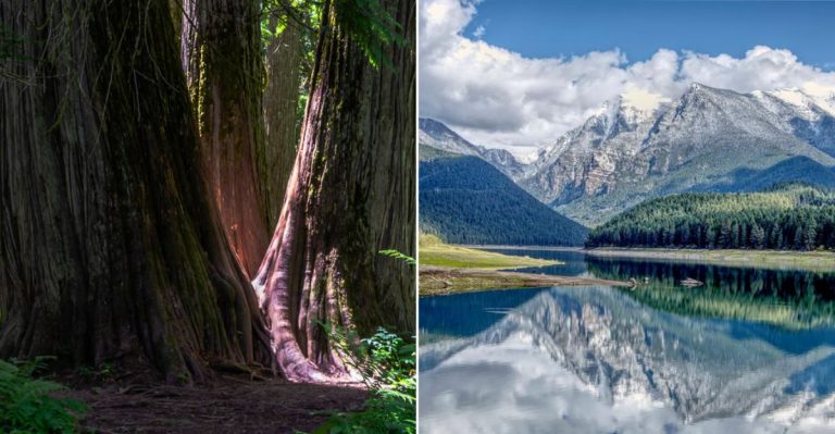 Hidden Natural Wonders in Montana That Will Take Your Breath Away