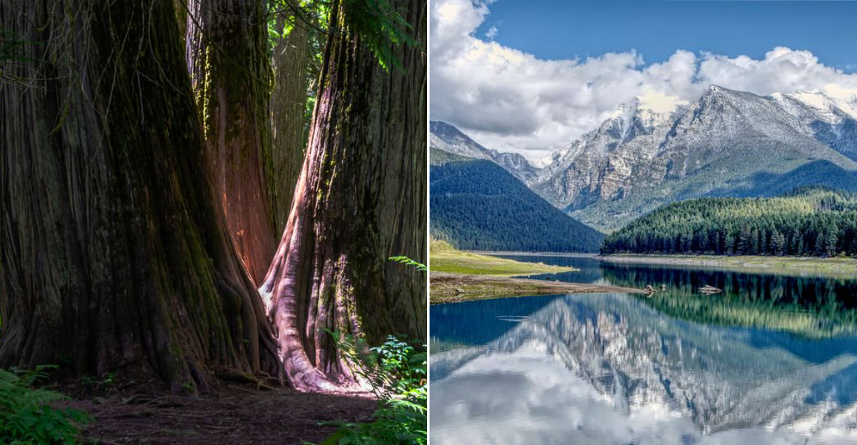 Hidden Natural Wonders in Montana That Will Take Your Breath Away