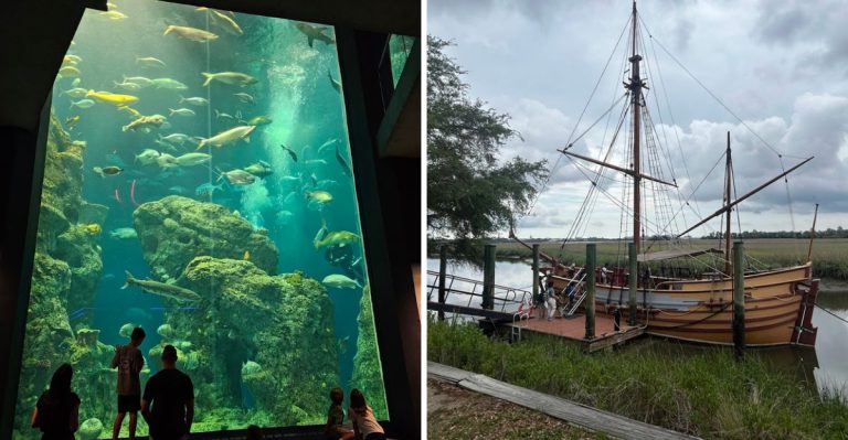 11 South Carolina Family Day Trips That Make Summer Feel Easy And Fun