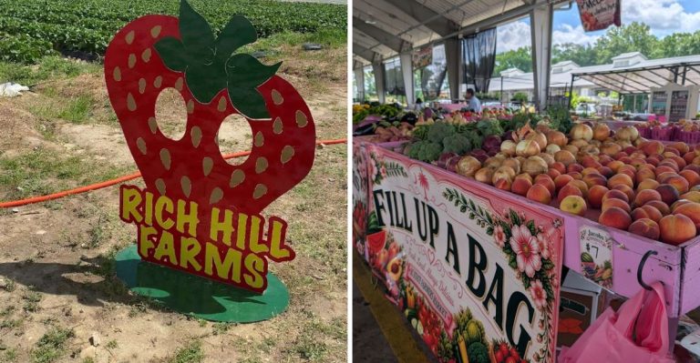 11 South Carolina Fruit Farm Bakeries That Make Summer Road Trips Sweeter