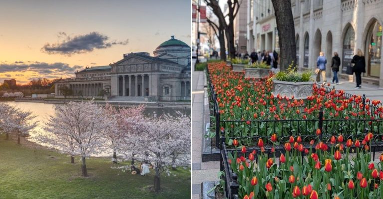11 Spring Experiences To Enjoy In Chicago, Illinois