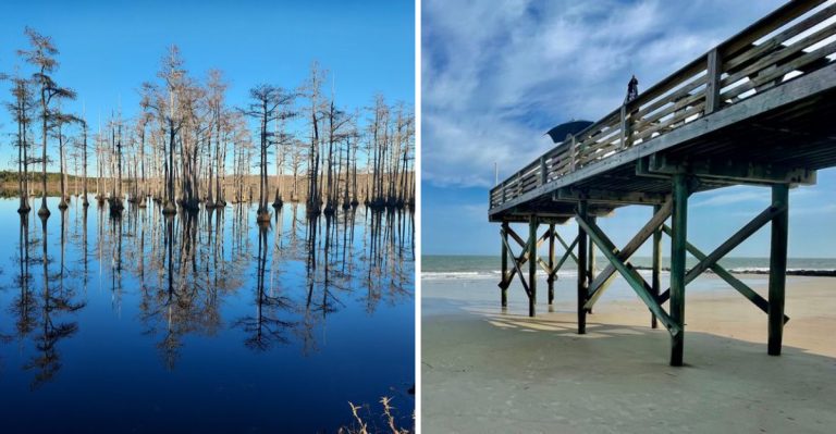 11 Stunning Day Trips In South Carolina You Can Do For Under $50