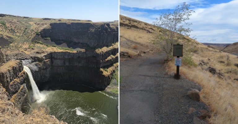 11 Unforgettable Washington Hikes That Are Under 7 Miles And Perfect For The Whole Family