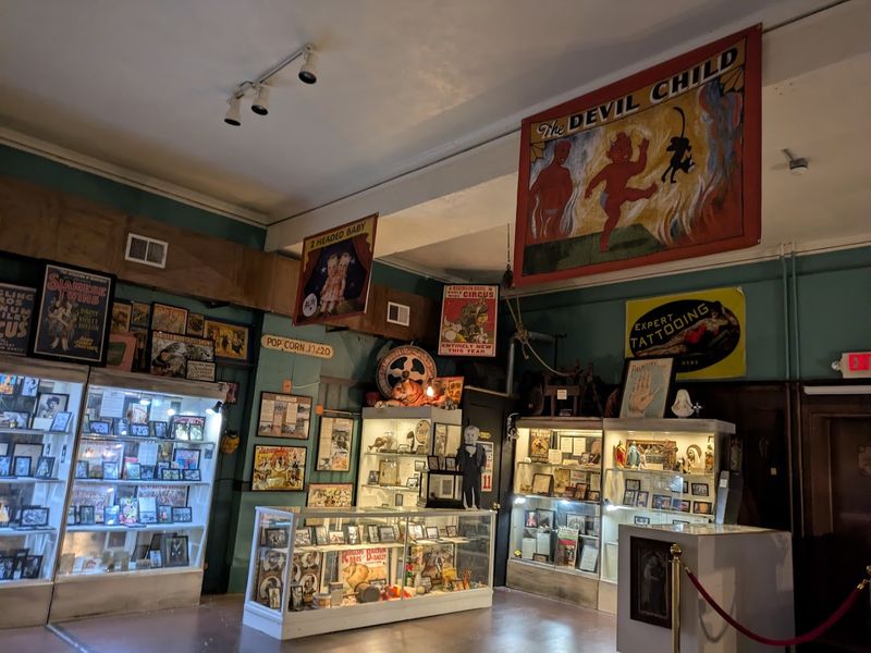 American Oddities Museum, Alton