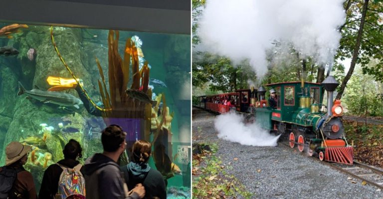 11 Washington Family Day Trips That Make Summer Feel Easy And Fun