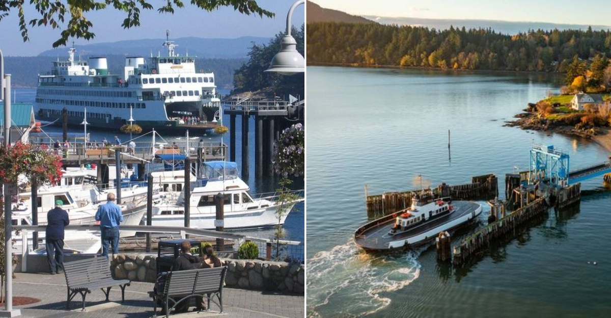 Washington State Islands Locals Say Have Lost Their Peace