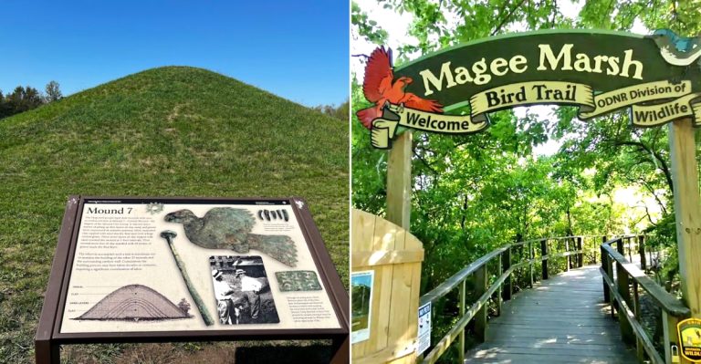 12 Affordable Ohio Family Adventures That Will Not Break The Bank In 2026