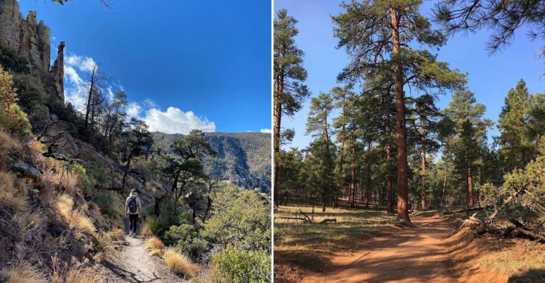 12 Arizona Nature Trails That Make July Mornings Feel Surprisingly Refreshing