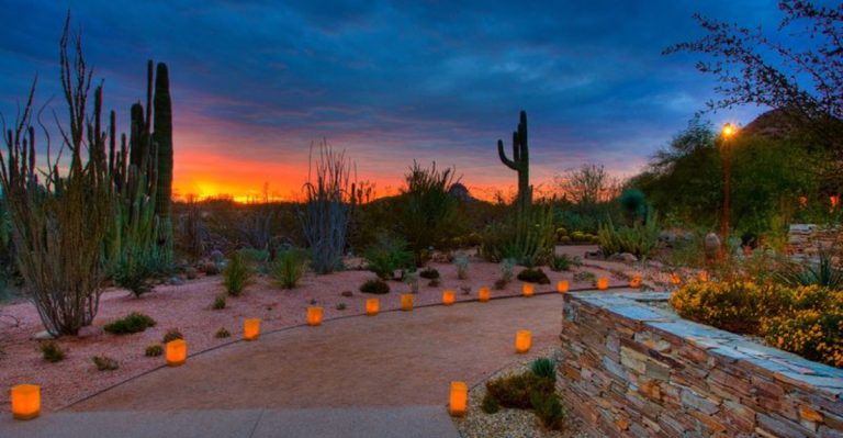 12 Arizona Spring Day Trips That Feel Like A Little Bit Of Magic
