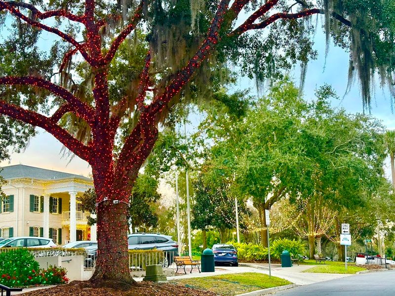 Mount Dora, Central Florida