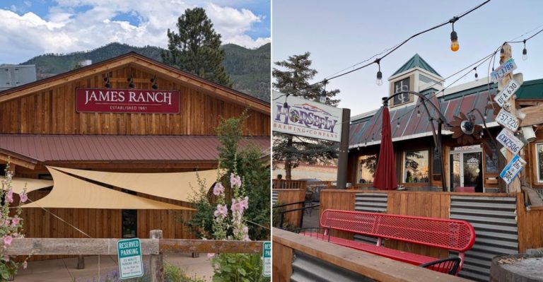 12 Colorado Pet-Friendly Patios With Room To Sprawl