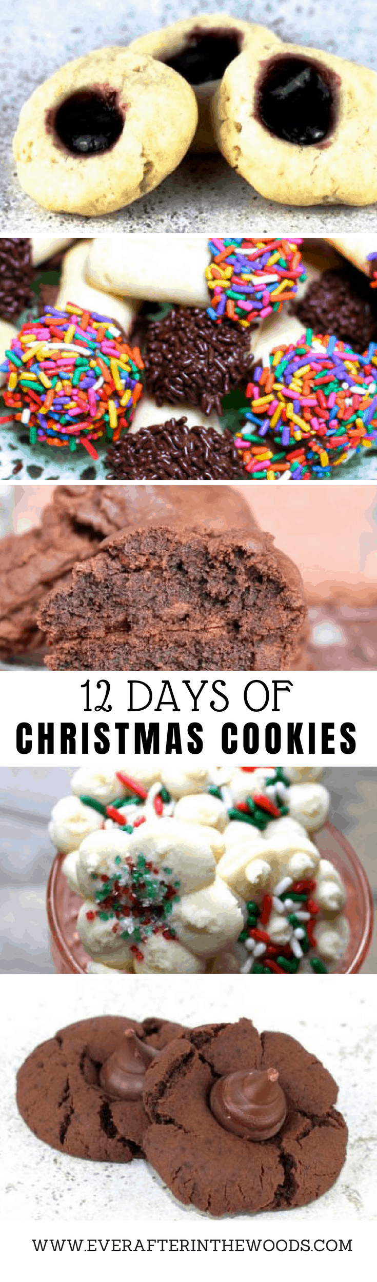 the best holiday cookie recipes
