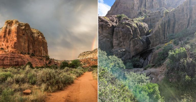 12 Desert Landscapes In New Mexico You Need To See