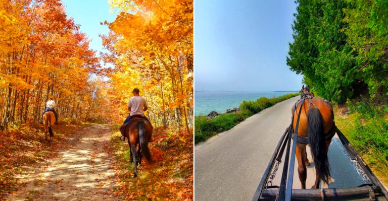 Places where you can ride horses in Michigan