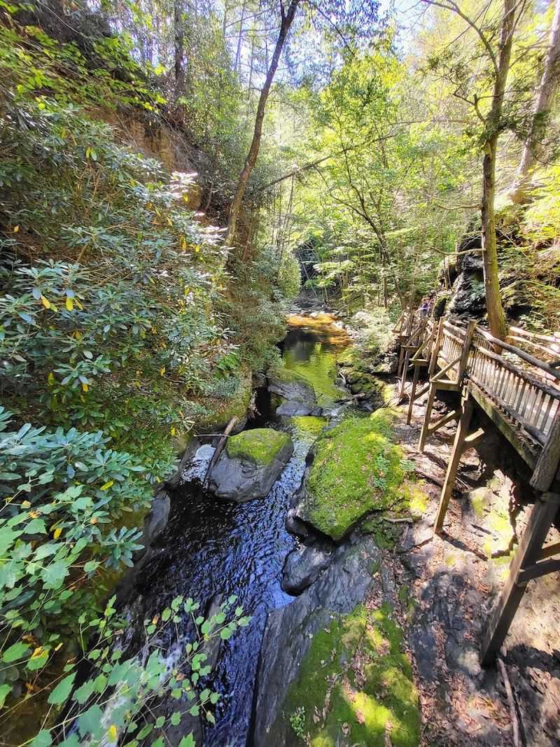 Bushkill Falls Green Trail, Bushkill