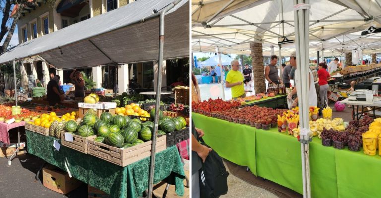 12 Florida Farmers Markets That Make Homemade Food Worth The Visit In 2026