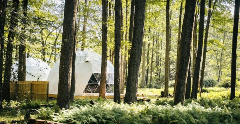 12 Glamping Destinations In Pennsylvania That Redefine Where You’ll Want To Sleep