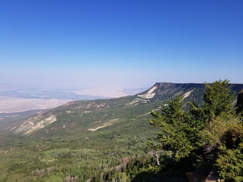 Grand Mesa National Forest