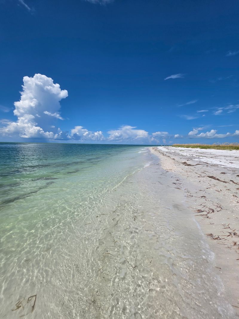 Shell Key Preserve, Tierra Verde