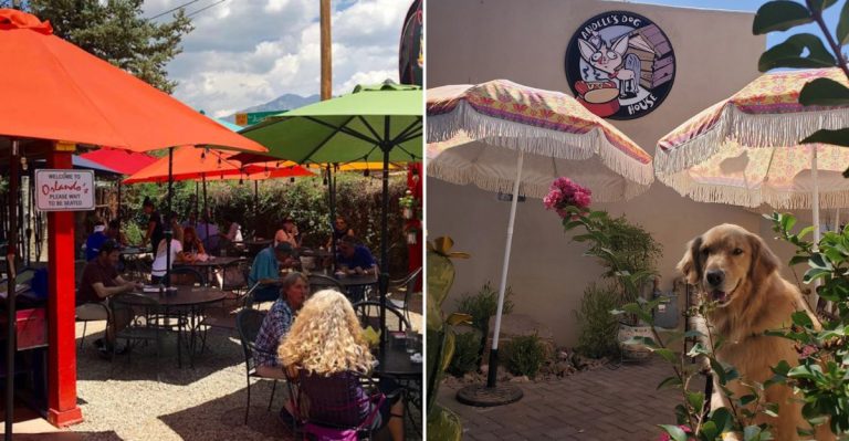 12 Hidden New Mexico Green Chile Spots Only Locals Talk About