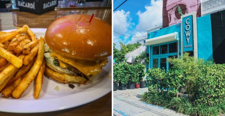12 Hole-In-The-Wall Florida Burger Spots Where Double Cheeseburgers Steal The Show