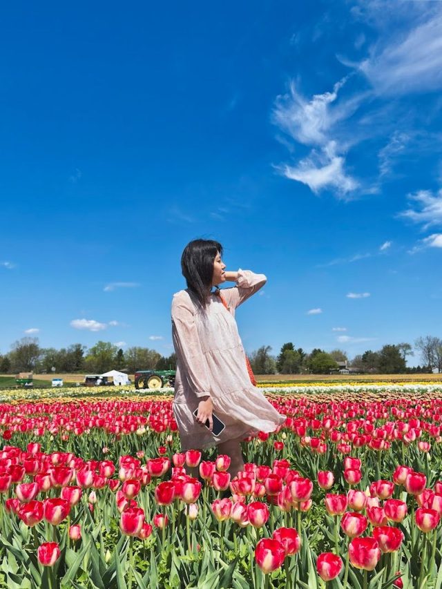 12 Illinois Flower Farms You Can Visit This Spring