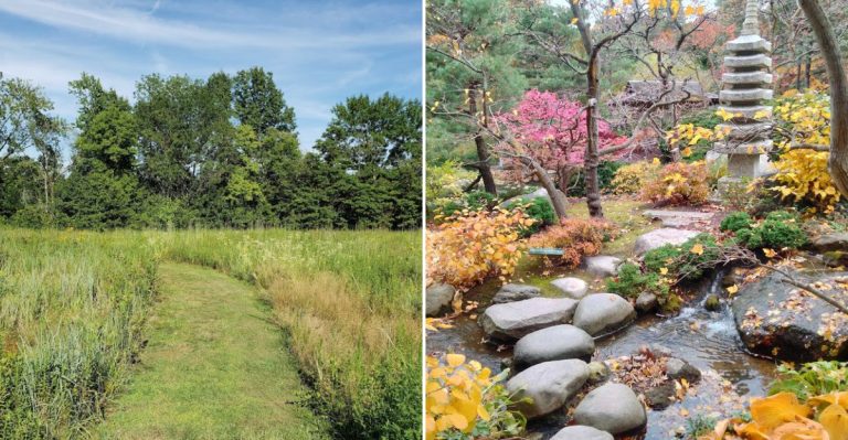 12 Illinois Hidden Gems That Feel Made For Early Summer