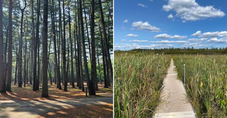 12 Illinois Nature Escapes That Feel Miles Away From The City In 2026