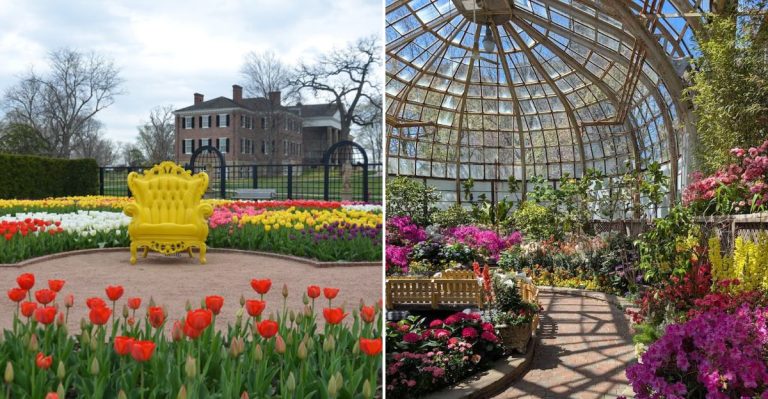 12 Illinois Parks That Are Most Beautiful In Spring