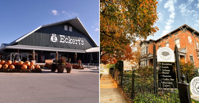 12 Illinois Pie Shops That Bake Slices So Good, Even Grandma Would Ask For The Recipe