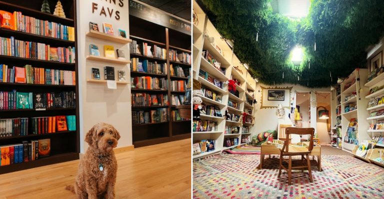 12 Independent Bookstores In Illinois That Make Browsing Feel Exciting Again